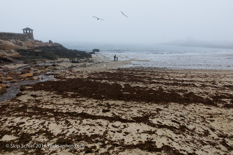 Cape Ann-Rockport_DSC2534