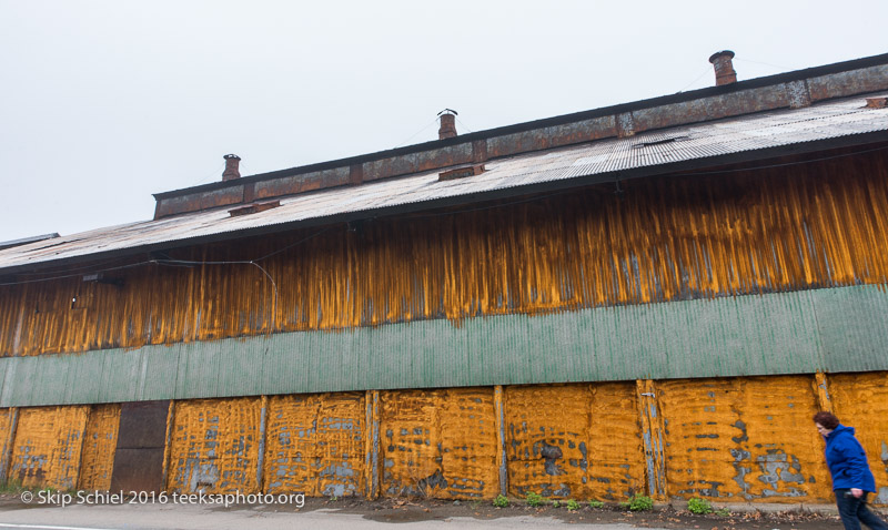 Cape Ann-Rockport_DSC2538