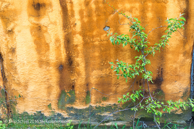 Cape Ann-Rockport_DSC2550