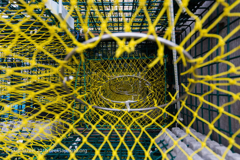 Cape Ann-Rockport_DSC2567