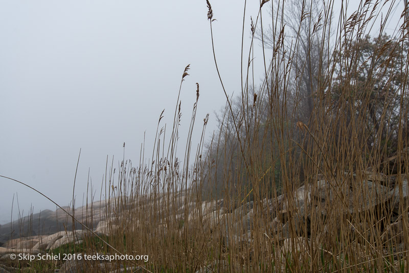 Cape Ann-Rockport_DSC2583