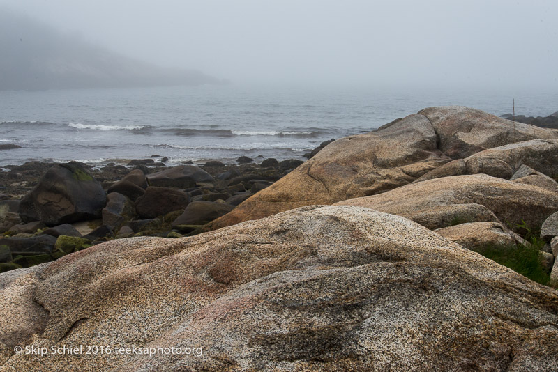 Cape Ann-Rockport_DSC2585