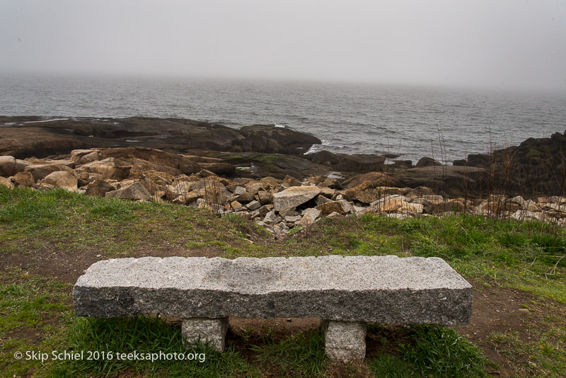 Cape Ann-Rockport_DSC2601