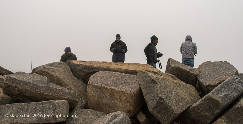 Cape Ann-Rockport_DSC2602