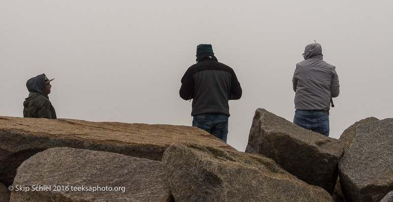 Cape Ann-Rockport_DSC2606