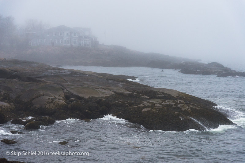 Cape Ann-Rockport_DSC2626