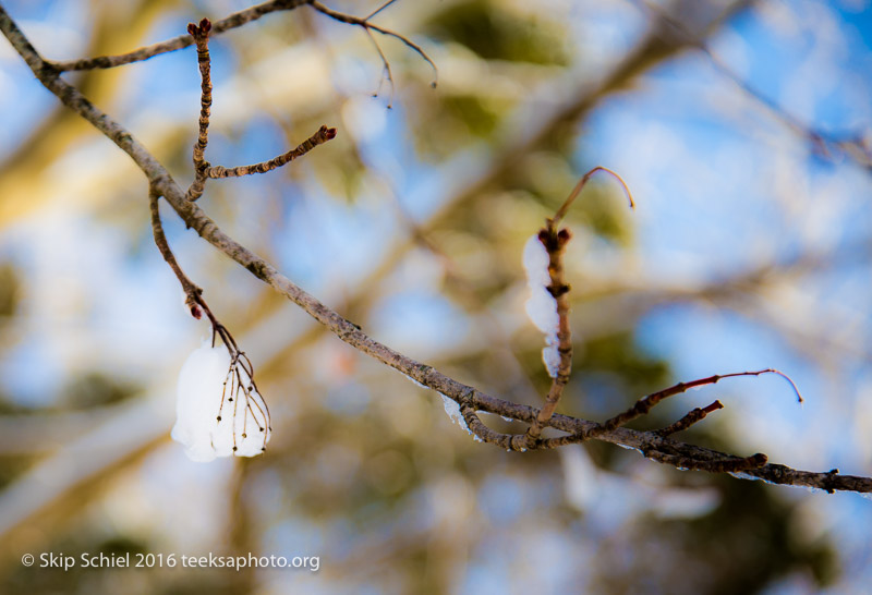 World's End-Hingham_DSC1754