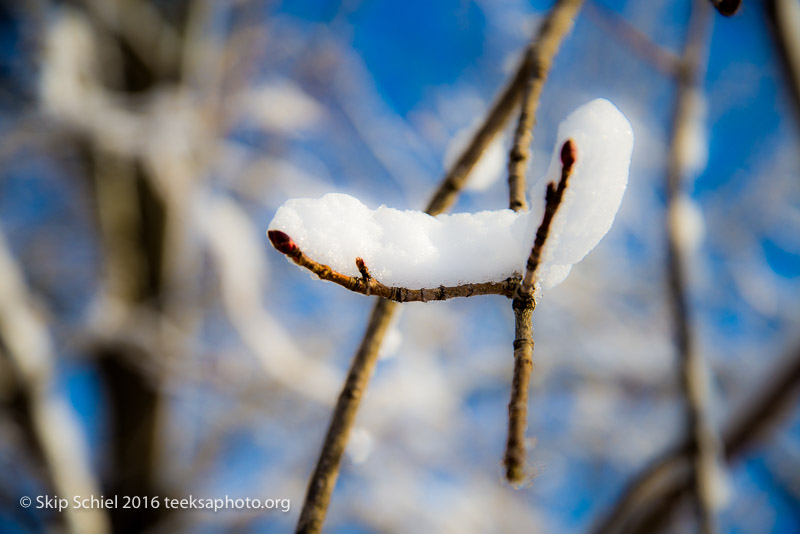 World's End-Hingham_DSC1760