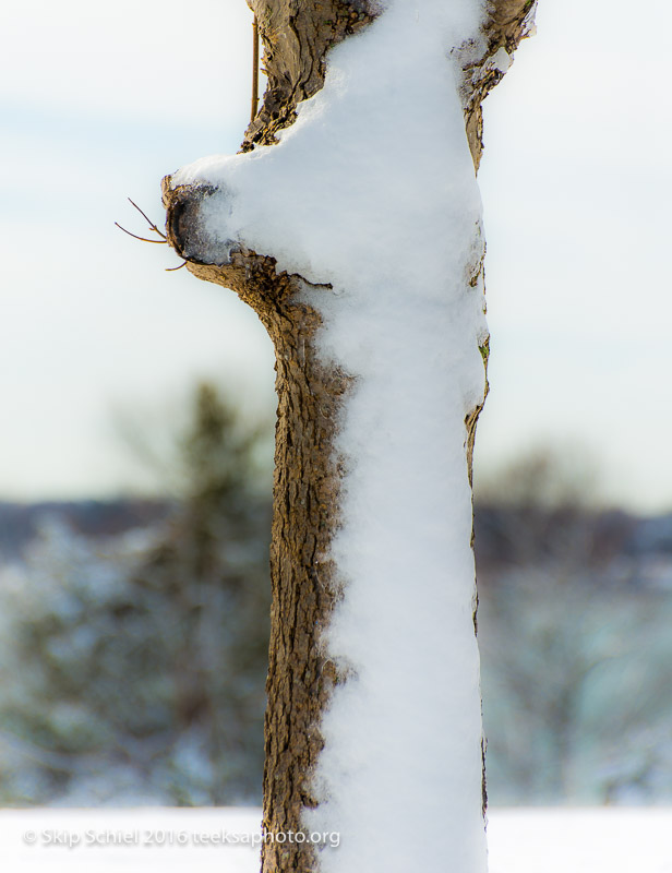 World's End-Hingham_DSC1884