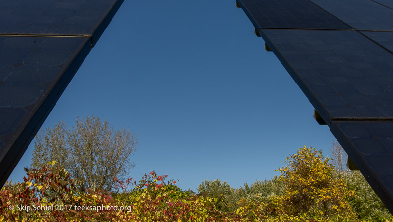 Massachusetts Audubon-Boston Nature Center-Sanctuary-_DSC7609