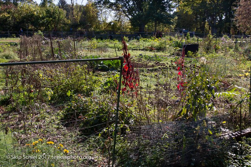 Massachusetts Audubon-Boston Nature Center-Sanctuary-_DSC7621