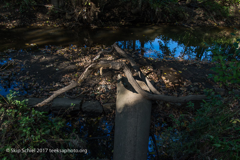 Massachusetts Audubon-Boston Nature Center-Sanctuary-_DSC7707