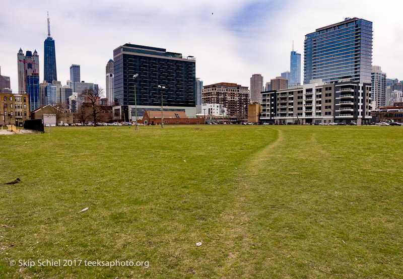 Chicago-Cabrini Green-IMG_5190