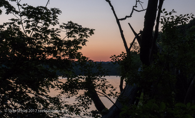 Cambridge Massachusetts-night-IMG_6974