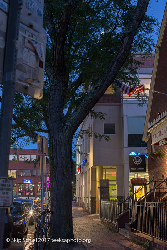 Cambridge Massachusetts-night-_DSC7082