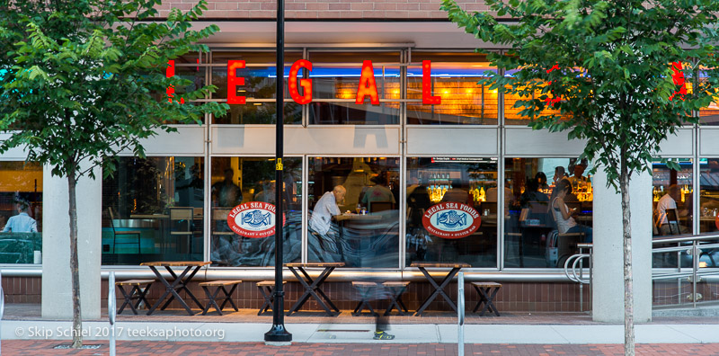 Cambridge Massachusetts-night-_DSC7378