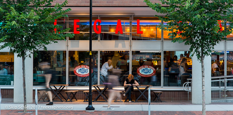 Cambridge Massachusetts-night-_DSC7386