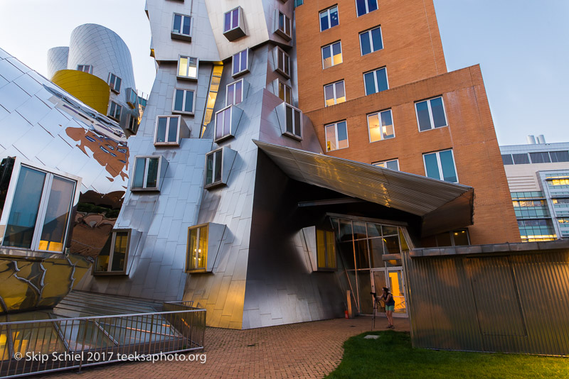 Cambridge Massachusetts-night-_DSC7411