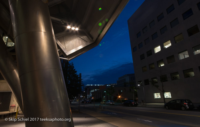 Cambridge Massachusetts-night-_DSC7435