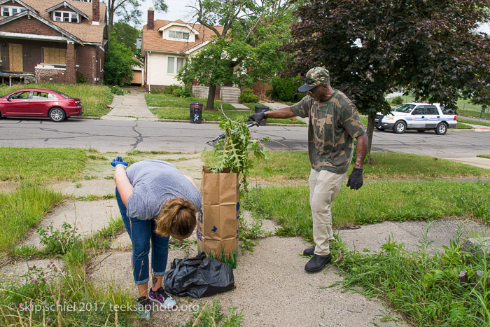 Detroit-pinehurst-neighborhood-board up-_DSC6677