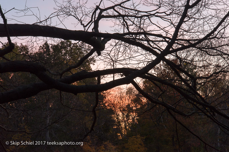 Massachusetts Audubon-Habitat-Sanctuary-_DSC7979