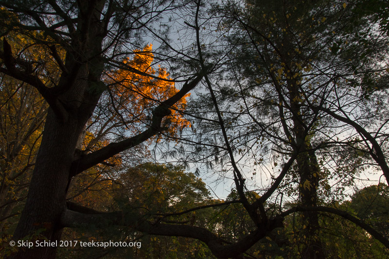 Massachusetts Audubon-Habitat-Sanctuary-_DSC7999