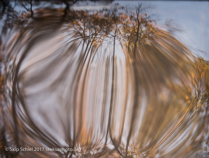 Massachusetts Audubon-Habitat-Sanctuary-_DSC8000