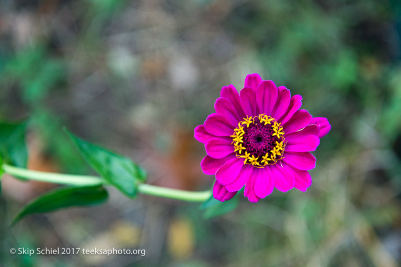 Massachusetts Audubon-Habitat-Sanctuary-_DSC8016