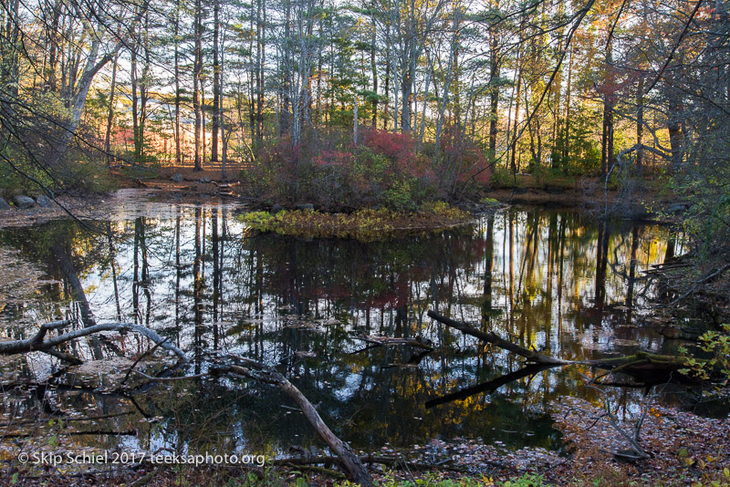 Massachusetts Audubon-Habitat-Sanctuary-_DSC8023