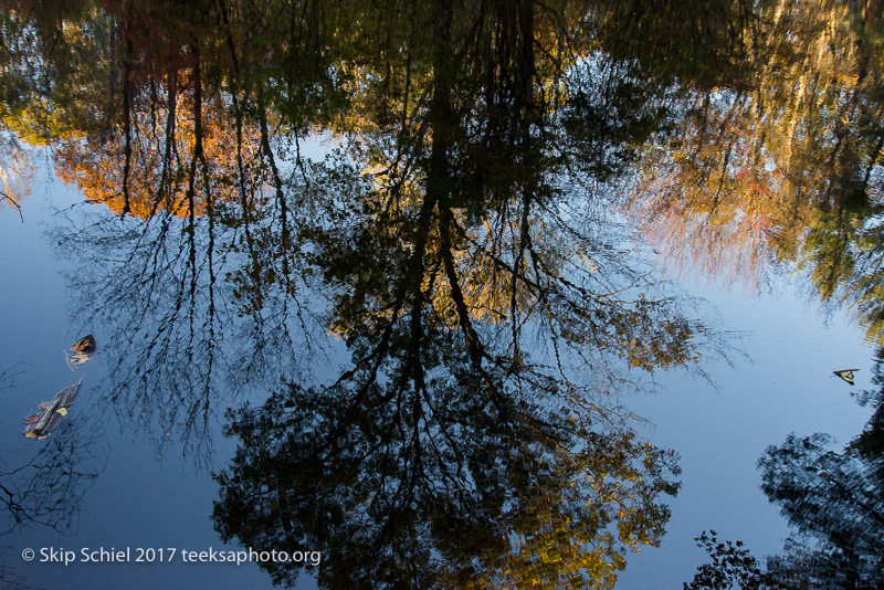 Massachusetts Audubon-Habitat-Sanctuary-_DSC8050