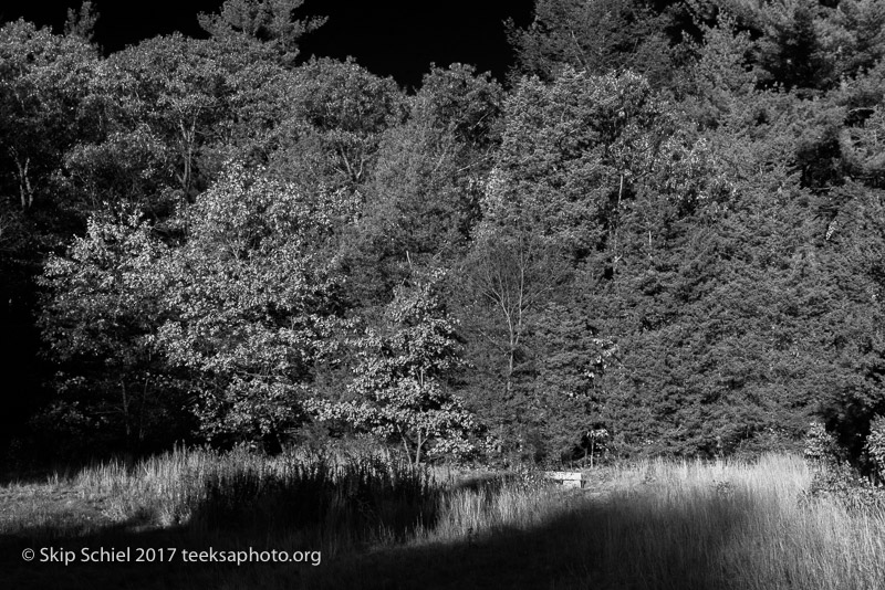 Massachusetts Audubon-Habitat-Sanctuary-_DSC8060