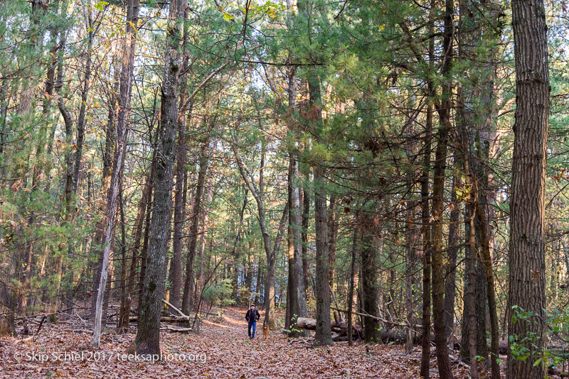 Massachusetts Audubon-Habitat-Sanctuary-_DSC8083