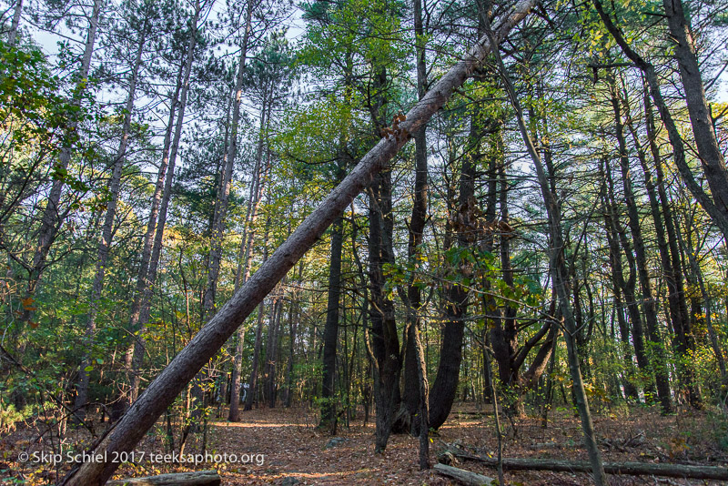 Massachusetts Audubon-Habitat-Sanctuary-_DSC8102