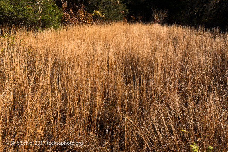 Massachusetts Audubon-Habitat-Sanctuary-_DSC8152