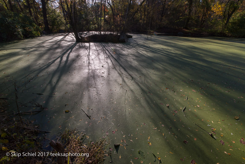 Massachusetts Audubon-Habitat-Sanctuary-_DSC8165