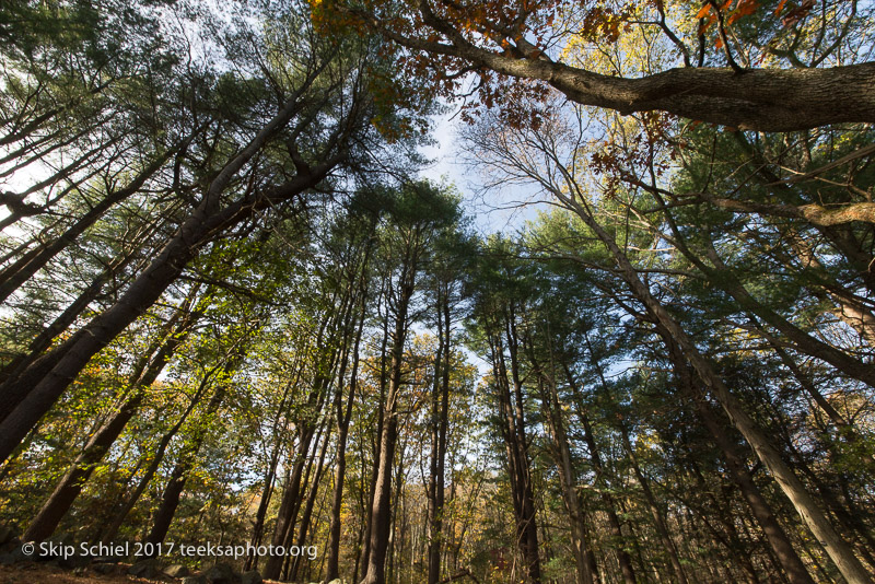 Massachusetts Audubon-Habitat-Sanctuary-_DSC8187