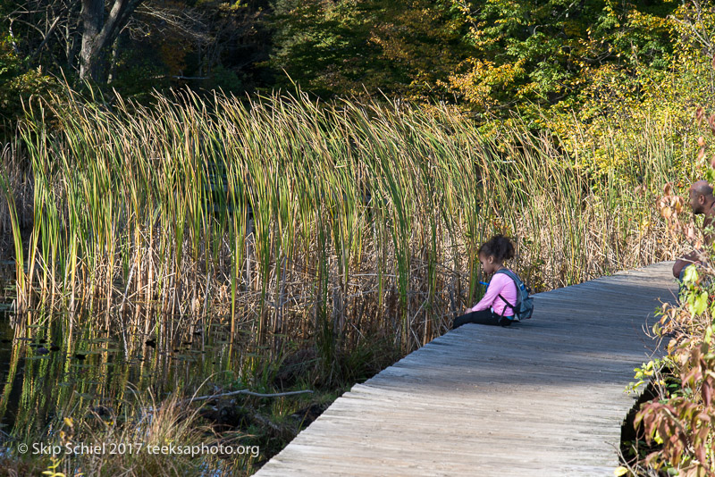 Massachusetts Audubon-Ipswich River-Sanctuary-_DSC7825