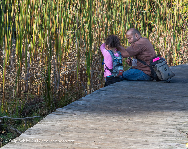 Massachusetts Audubon-Ipswich River-Sanctuary-_DSC7830