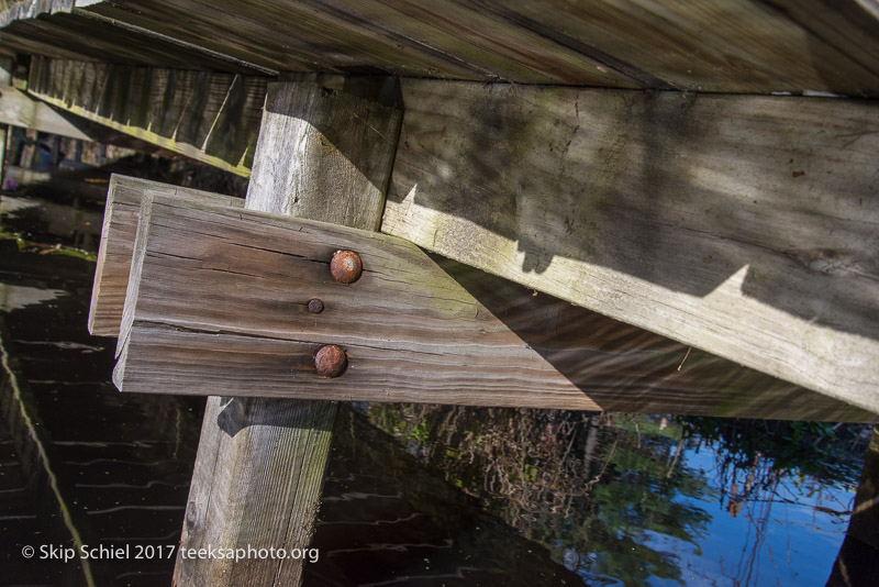 Massachusetts Audubon-Ipswich River-Sanctuary-_DSC7835