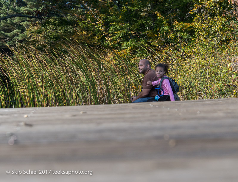 Massachusetts Audubon-Ipswich River-Sanctuary-_DSC7844