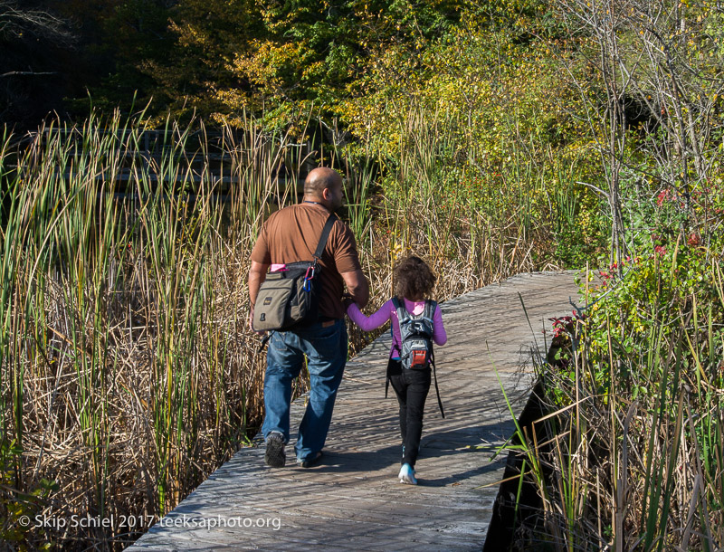 Massachusetts Audubon-Ipswich River-Sanctuary-_DSC7858