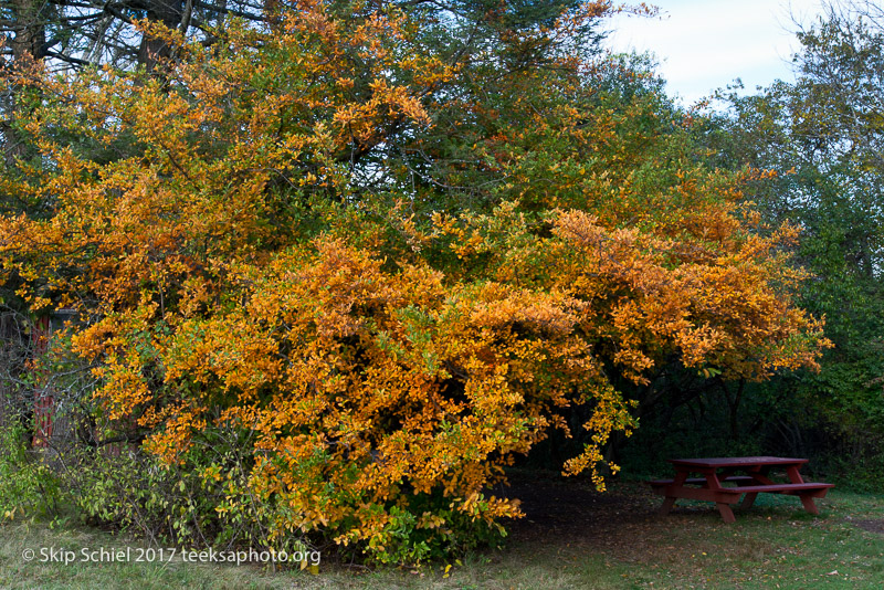 Massachusetts Audubon-Ipswich River-Sanctuary-_DSC7928