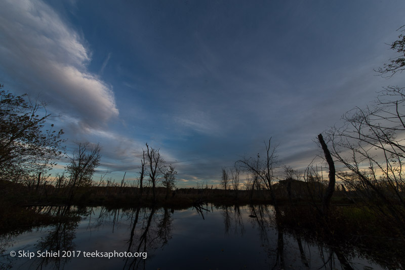 Massachusetts Audubon-Ipswich River-Sanctuary-_DSC7938