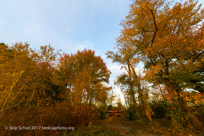 Massachusetts Audubon-Ipswich River-Sanctuary-_DSC7942