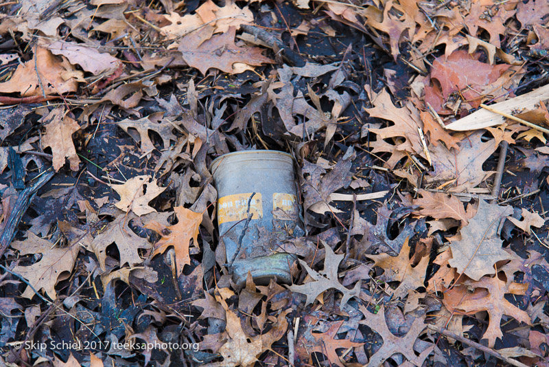 Boston Emerald Necklace__DSC3696