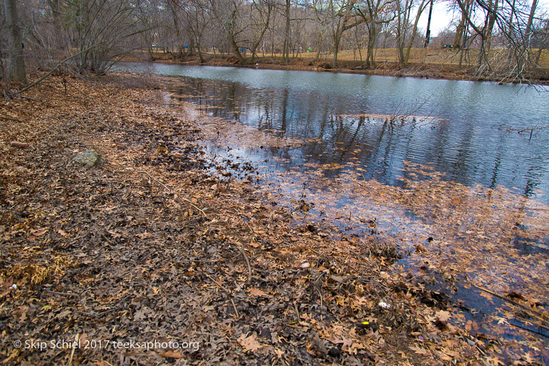 Boston Emerald Necklace__DSC3706