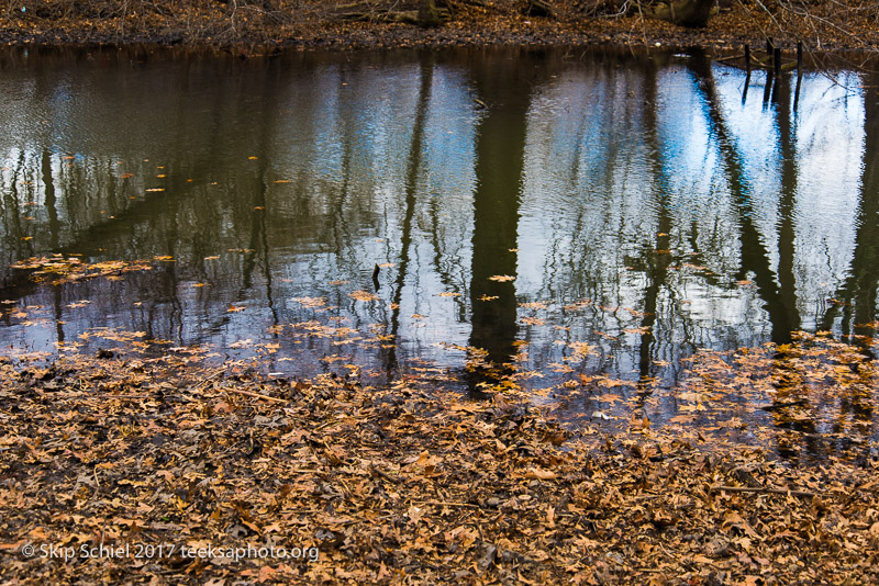 Boston Emerald Necklace__DSC3724