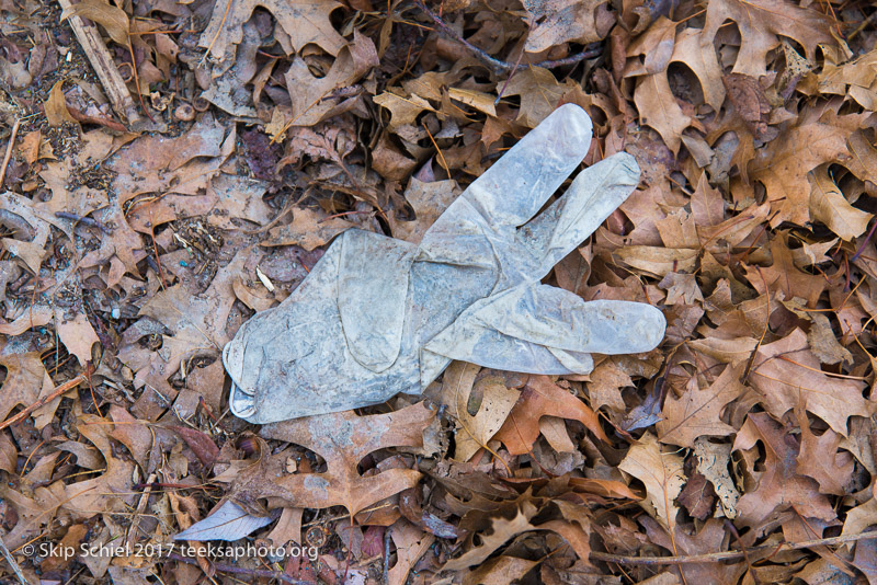 Boston Emerald Necklace__DSC3734