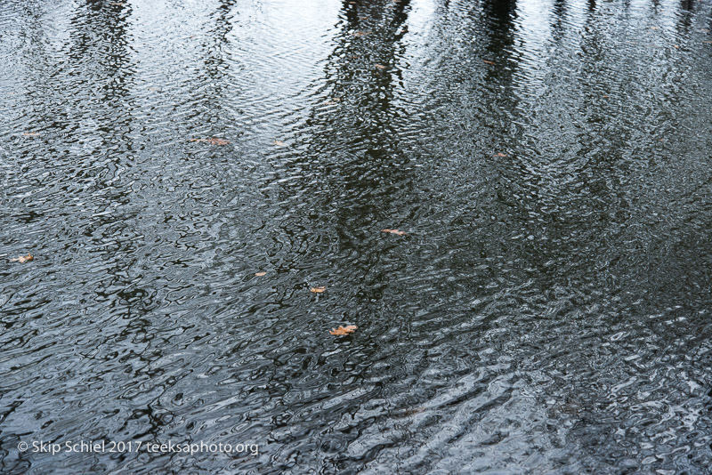 Boston Emerald Necklace__DSC3737