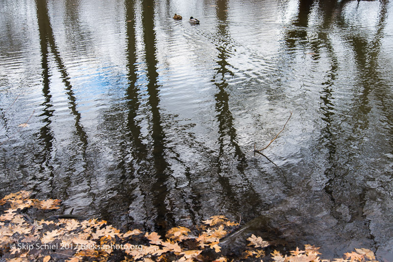 Boston Emerald Necklace__DSC3743